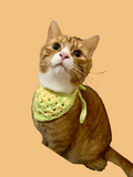 PET BANDANA PATTERN