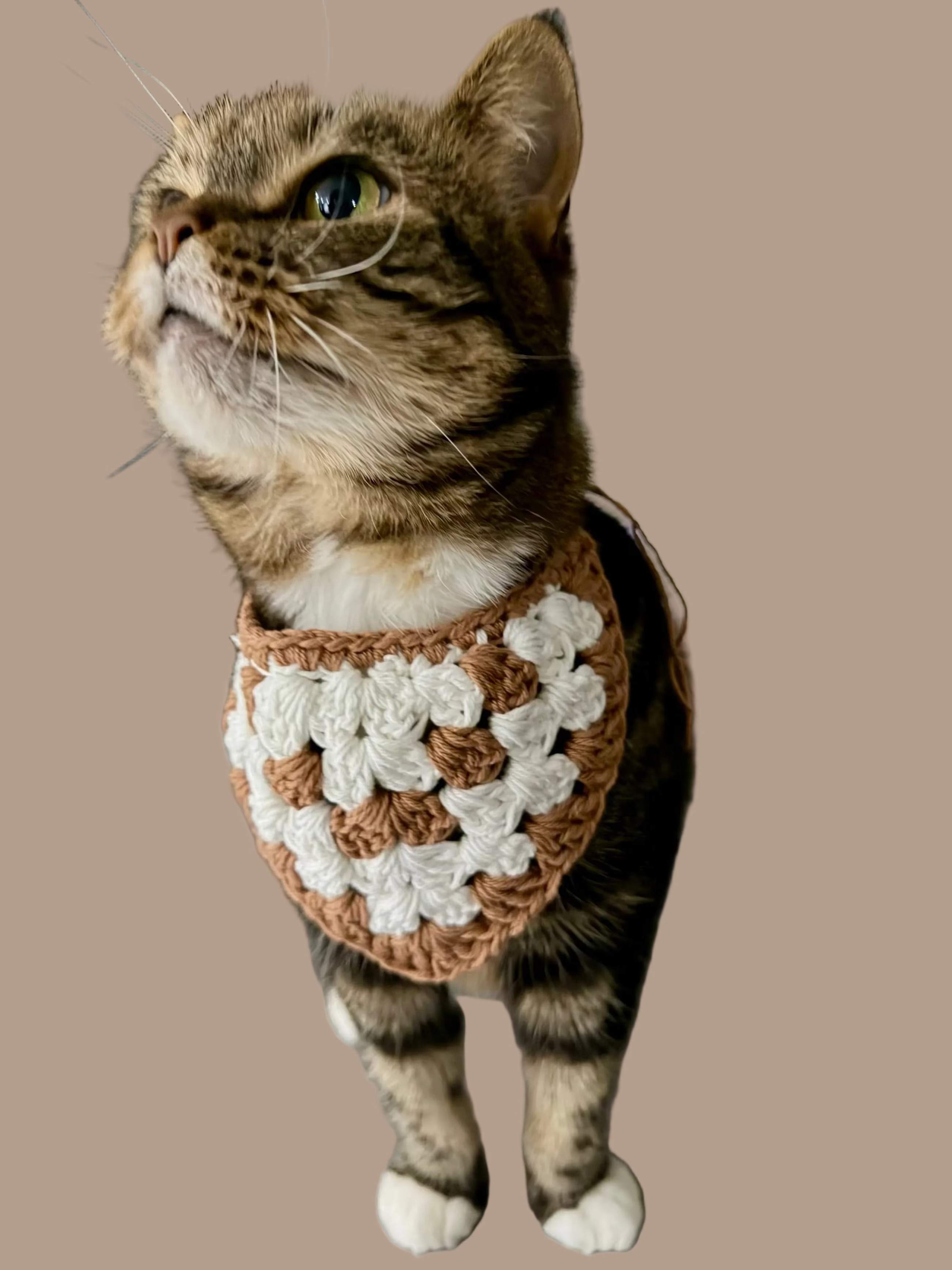 PET BANDANA PATTERN