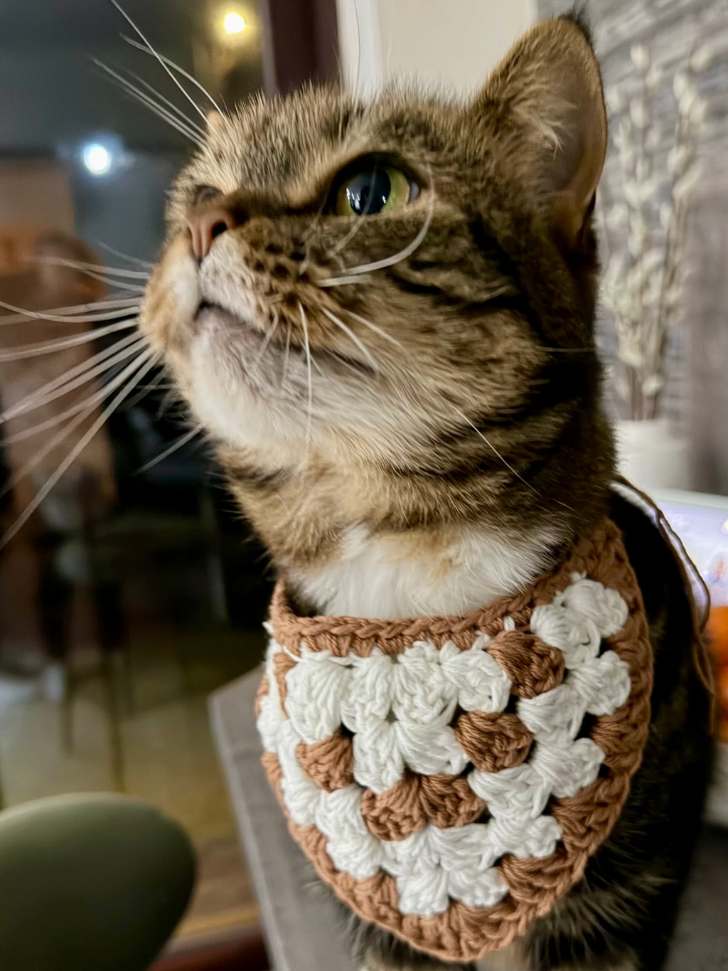 PET BANDANA PATTERN
